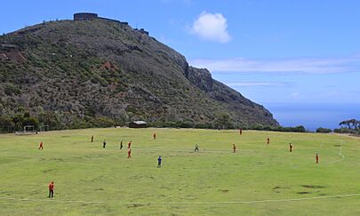 Archivo:Cricket on Francis Plain 2 (41079973701)