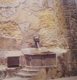 Archivo:Cuernavaca gárgola y fuente (detalle)