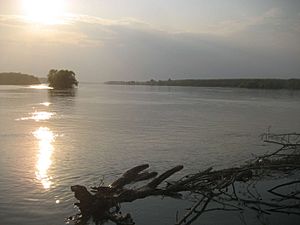 Archivo:Danube in Ilok-Apr09