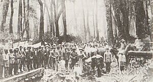 Archivo:Ejercito de Chile en la Araucania