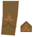Ejerpopulardivi