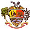 Escudo Municipio Autónomo Maroa (Amazonas)