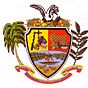 Escudo Municipio Autónomo Maroa (Amazonas).jpg