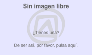 Archivo:Falta imagen UNESCO Inmaterial (ancho)