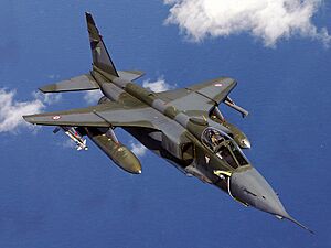 French Jaguar A of EC 1-7 Provence in flight over the Adriatic Sea, 8 April 2003 (DF-SD-05-05511).jpg