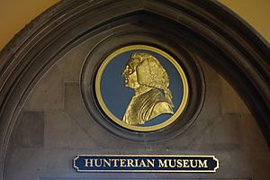 Archivo:GlasgowHunterianMuseum2017