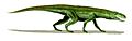 Gracilisuchus BW
