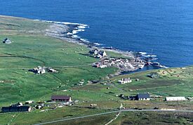 Ham Foula.jpg
