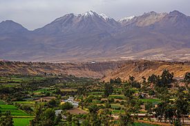 In Arequipa Peru,…Nev. Chachani,6075 m (8444390296).jpg