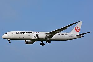 Archivo:Japan Airlines, Boeing 787-9 JA861J NRT (19455285040)