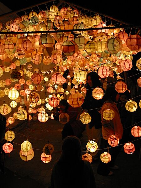 Lotus lantern festival 2001