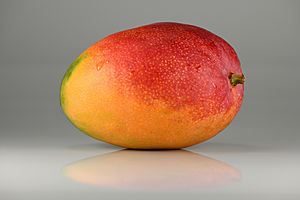 Mango - single.jpg