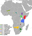 Mapa distribución girafa subespecies (Giraffa camelopardalis)