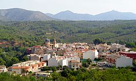 Vista de Navajas desde la Vía verde de Ojos Negros