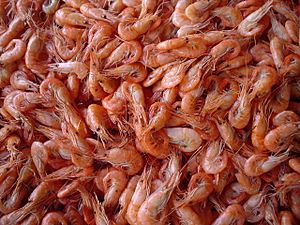 Archivo:Odesa bazaar (6) shrimps