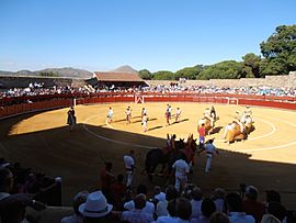Archivo:Paseillo plaza de toros de Béjar 05
