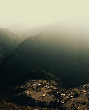 Archivo:Pexels-emmanuel-hernández-12217677 (1)