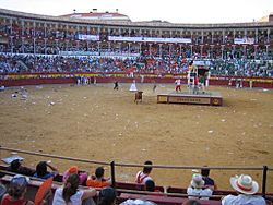 Plaza toros calatayud interior vaquillas.JPG