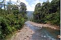 Río Yorkín in Sixaola