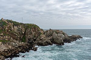 Roca Oceánica, Concón 20230913 04.jpg