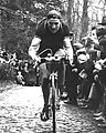 Roger Decock - Bertin