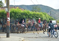 Santa Rosa del Peñón - Caballos.jpg