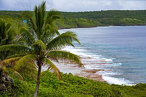 Archivo:Sustainable Niue Ocean Wide Event, Niue, 17 October 2024 - 1