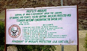 Archivo:Tsomomiri Wetland Conservation (The Ramsar Site)