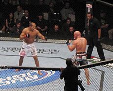 Archivo:UFC 131 Carwin vs. JDS