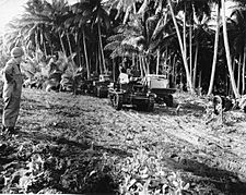 Archivo:US tanks in Guadalcanal