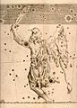 Uranometria orion