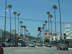Ventura Blvd - Laurel Cyn Blvd.jpg