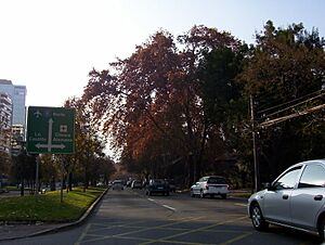 Archivo:Vespucio Norte