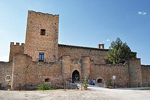 Archivo:Vista de la fachada principal del castillo de Pedraza