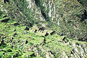Archivo:Vista panorámica de las Ruinas de Iskanwaya