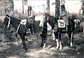 Watlala Warm Springs Women on Horseback 1902
