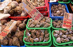 Archivo:Whelks at a fish market in Japan