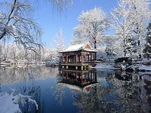Archivo:Winter in Peking University Winter in 2013