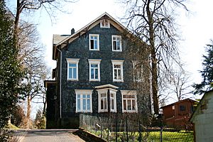 Archivo:Wuppertal Ronsdorf - Villa Carnap 01 ies