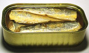 Archivo:2006 sardines can open