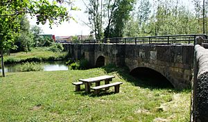 Archivo:2017 Puente de Almanza sobre el río Cea. León (3)