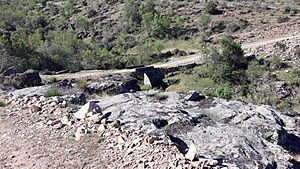 Archivo:20190515 101905 Valle de San Pedro