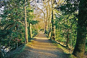 Archivo:Addison's Walk, Winter 2002 (2)