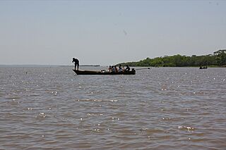 Amazon River (3925498233).jpg