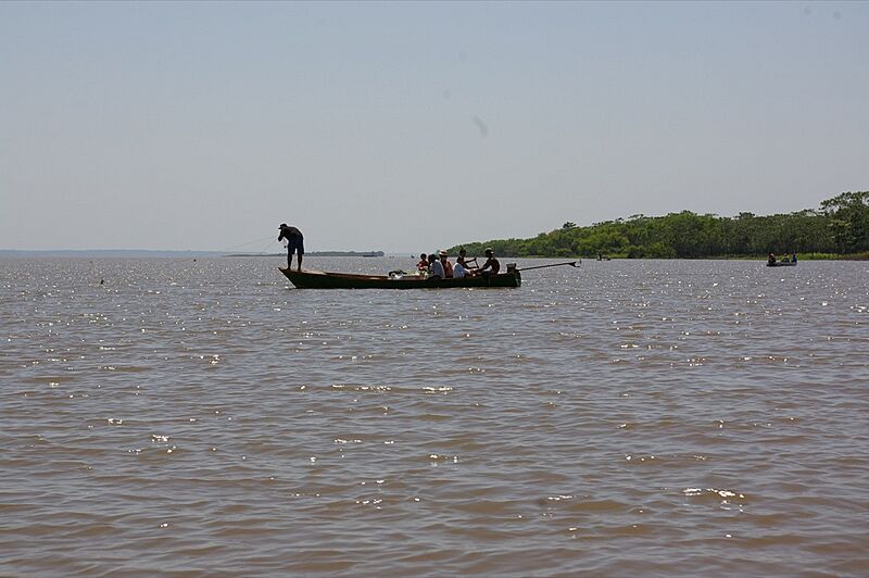 Amazon River (3925498233)