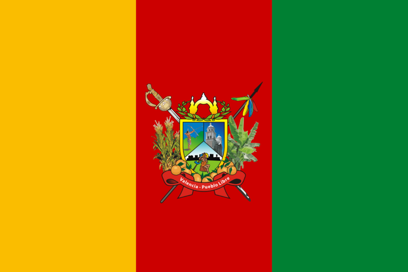 Bandera de Valencia, Carabobo