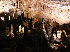 Archivo:Beautiful stalagmites in Grotta Gigante