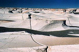 Archivo:Campo de Piedra Pómez, Catamarca, Argentina