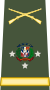 Capona Teniente General Ejercito Nacional.svg