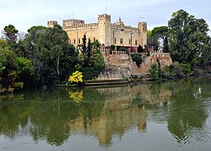 Archivo:Castillo de Malpica 2
